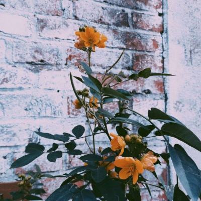 BET体育365投注官网下载手机版